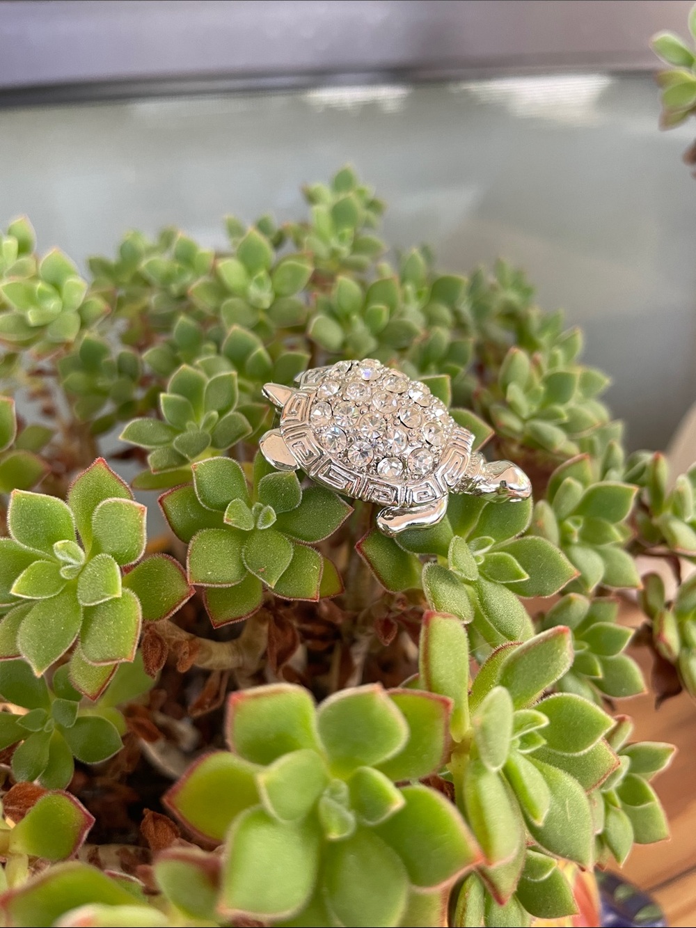 Vintage Silver Tone Turtle Brooch Featuring a Sparkling Rhinestone Shell